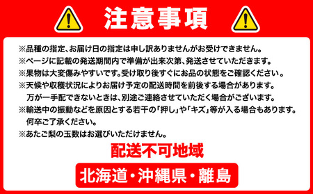 【4回定期便】岡山のフルーツ定期便 【配送不可地域あり】桃 ぶどう 梨