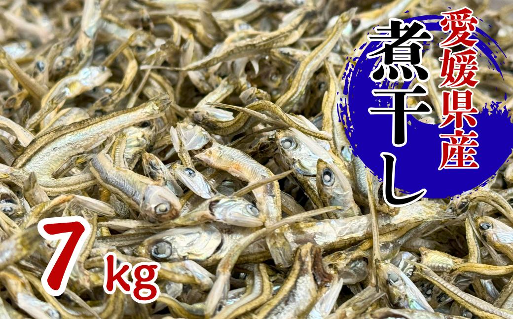 
                  伊予煮干 いりこ 7kg 【10月以降発送】 伊予灘産 瀬戸内海 出汁 料理 おやつ カルシウム 健康 サクサク食感 海の幸 海産物 乾物 魚介類 おつまみ 保存食 特産品 愛媛 伊予市｜D47
                