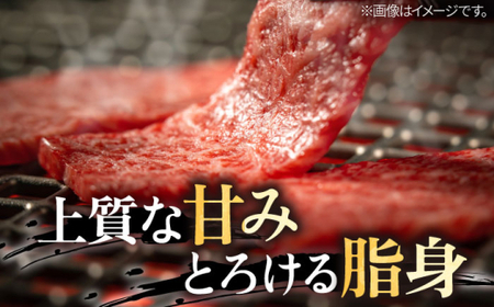 【全3回定期便】 葉山牛 上カルビ500gカルビ500g／ カルビ 上カルビ[ASAP053]