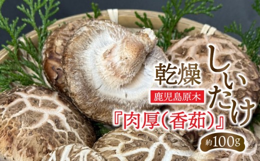 鹿児島原木乾燥しいたけ『肉厚（香茹）』 約100g　K205-003