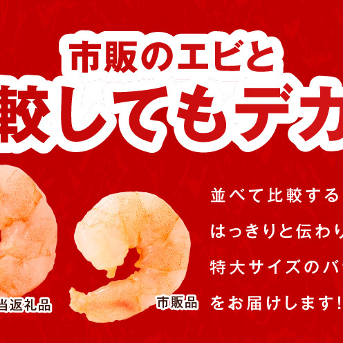 むきえび 定期便 1.7kg×12回 特大5Lサイズ【下処理不要 小分け 850g×2P 訳あり サイズ不揃い バナメイエビ バラ凍結】 G5436_イメージ4