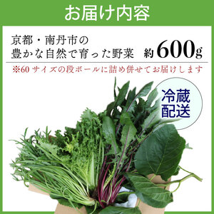 【爬虫類用】 季節の葉っぱ詰め合わせ セット 約 600g 60サイズ ( 草食 雑食 爬虫類 ペットフード ペット リクガメ カメ イグアナ 動物 ごはん ご飯 おやつ 野菜 葉 葉野菜 旬 栄養 