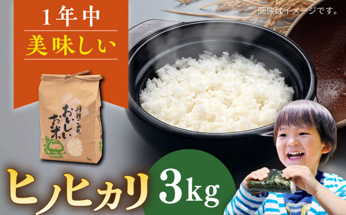 糸島産 ヒノヒカリ 3kg 糸島市 / 平山農園 米 白米 ご飯 お米 3kg [AXN005]
