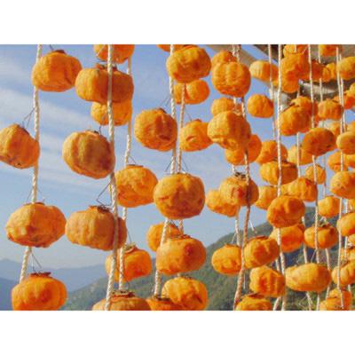 ふるさと納税 九度山町 吊るし柿用 生渋柿 ひもセット【 T字軸枝付 or吊るしクリップ付】 約20〜30果、4.5〜5kg |  | 02