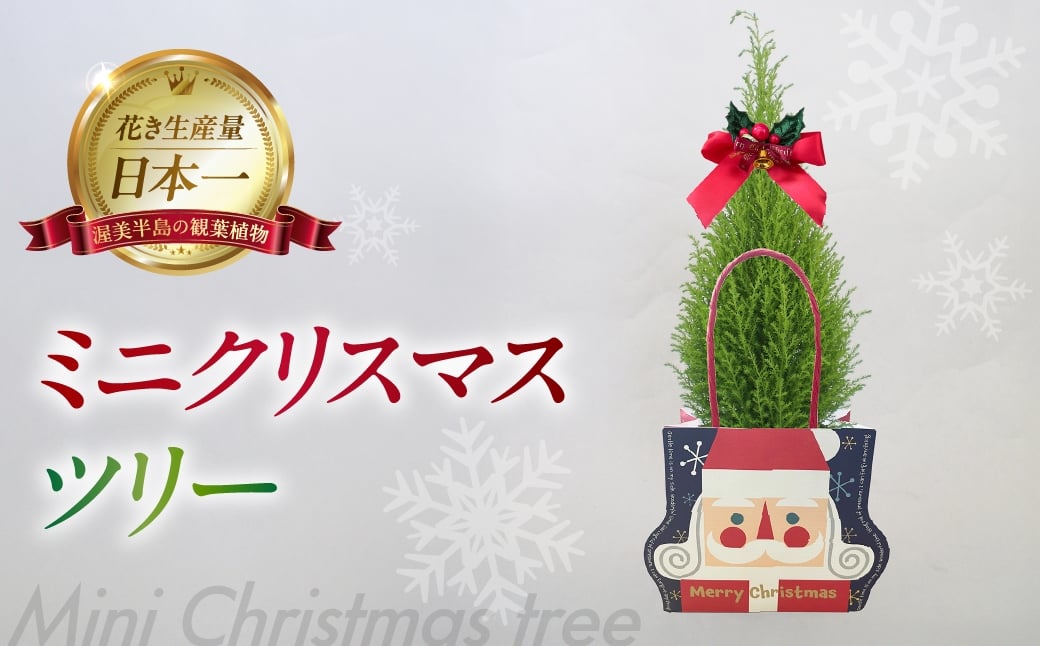
            ミニクリスマスツリー 観葉植物 植物 3号鉢 ツリー 人気 おしゃれ かわいい お手入れ 室内 大鉢 中型 インテリア リビング 玄関 寝室 キッチン オフィス プレゼント ギフト 冬 クリスマス フラワーギフト
          