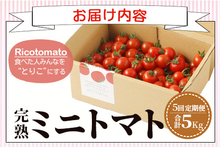 【5回定期便】【先行受付】2027年1月より順次発送予定 完熟ミニトマト 1kg 農家直送 佐賀県鹿島市 たにぐちファーム Ricotomato（リコトマト）～とりこになるトマト～G-27