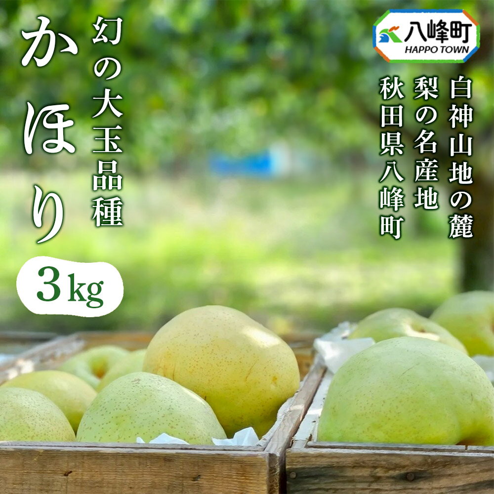 【ふるさと納税】梨 かほり 3kg 白神山地の麓 峰浜の梨 笠原果樹園