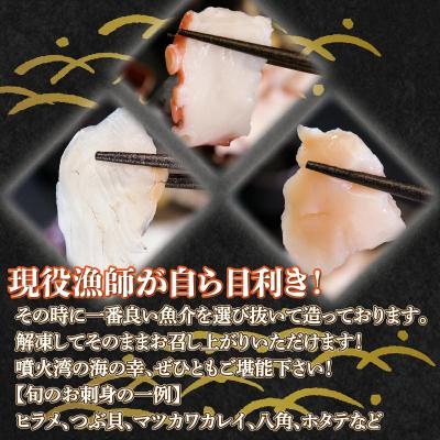 ふるさと納税 豊浦町 【定期便5回】地元漁師厳選 噴火湾産 海の幸 北海道 豊浦 TYUR028 |  | 02