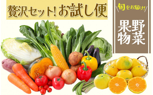 
湯の花　旬の野菜と果物セット　柑橘 果物 野菜 静岡県産 南伊豆町 定期便 おまかせ 旬 みかん やさい
