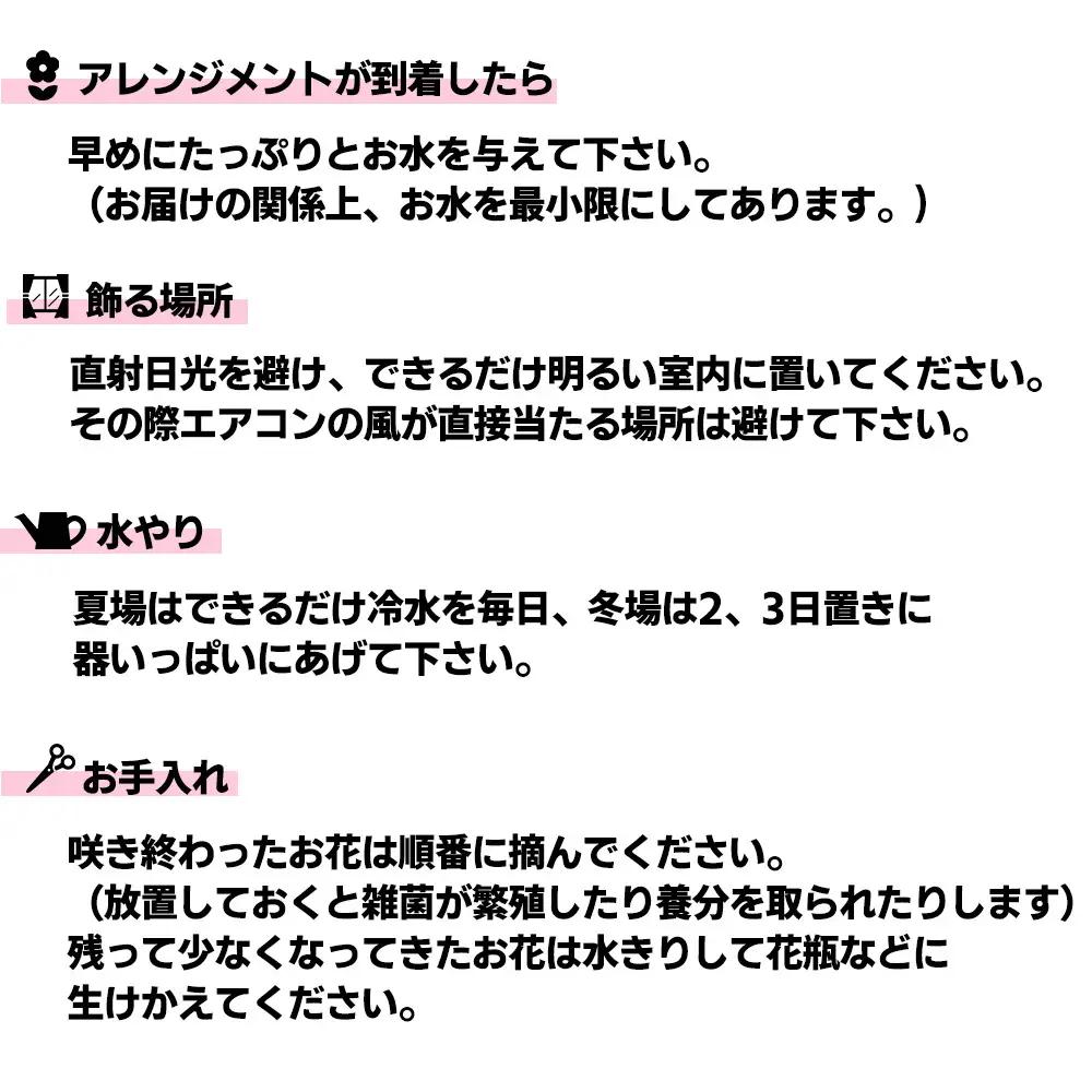 フラワーアレンジメント　ありがとう！感謝の気持ちを込めたホッドレッド＜プレミアム＞　【1515】