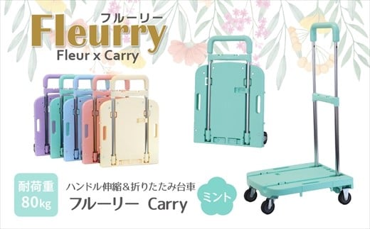 ハンドルが伸縮する台車「フルーリーCarry」　カラー：ミント（グリーン）