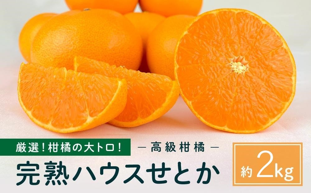 
            柑橘の大トロ！完熟ハウスせとか  2kg 2026年2月中旬～発送予定【フルーツ 人気 お取り寄せ 産地直送 もりの農園 ドルチェみかん みかん せとか 柑橘 果物 フルーツ 産地直送 人気 おすすめ 瀬戸内 広島県  尾道市】
          