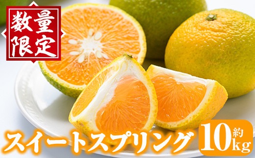 ＜先行予約受付中！2025年12月下旬以降順次発送予定＞秀品！スイートスプリング(約10kg) 国産 鹿児島県産 阿久根市産 柑橘類 みかん ミカン 果物 フルーツ デザート スイスプ 数量限定 期間限定 贈答用 ギフト【有限会社まなべみかん園】akn034-06