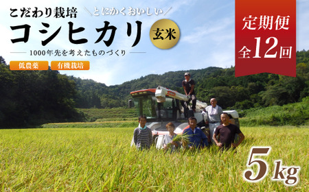 【R7年産 新米先行予約】 【定期便12回】有機栽培コシヒカリ玄米 5kg 低農薬 12ヶ月 玄米