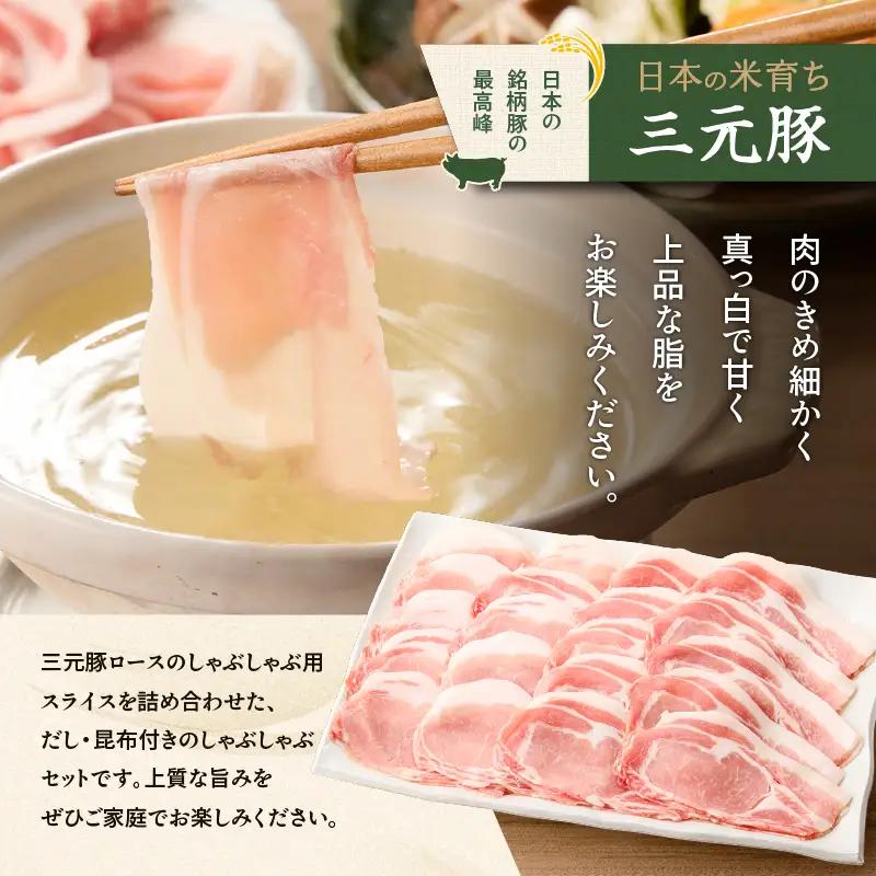 【 全6回 毎月 定期便 】 日本 の 米育ち 平田牧場 三元豚 ロース しゃぶしゃぶ T036-T01-02 肉 豚肉