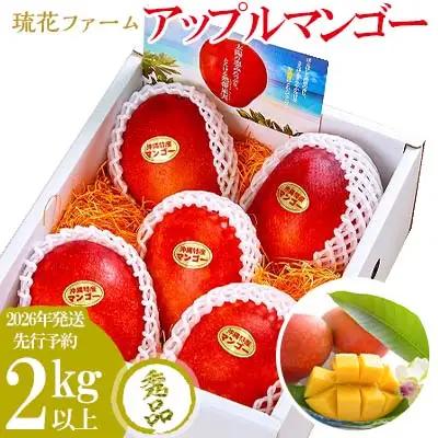 マンゴー【2026年発送先行予約】アップルマンゴー秀品2kg以上