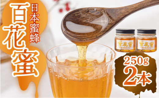 【長崎の純粋はちみつ】日本蜜蜂 百花蜜 250g×2本  長与町/ハチミツ屋はなまる [ECD002] 純粋はちみつ 生はちみつ ハチミツ 国産 蜂蜜 天然 ハニー 非加熱
