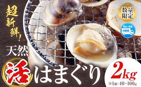 数量限定 天然 活 はまぐり 2kg 1個:40g～100g 寺田水産【配送不可地域：離島・北海道・沖縄県・東北・中国・四国・九州】