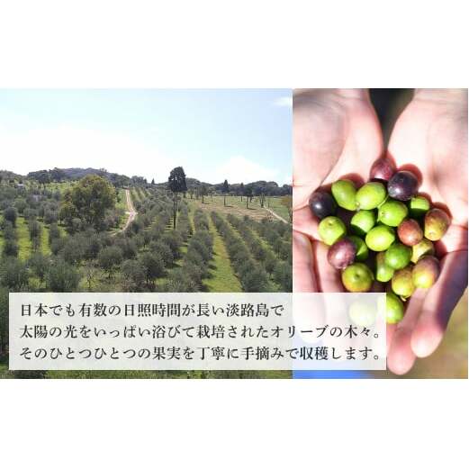 20本セット！「Virgin Valley 淡路阿利布」91ｇ（エキストラバージンオリーブオイル）_イメージ3