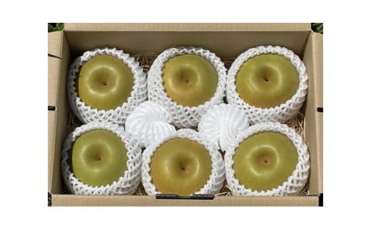 【先行受付】会津の美味しい梨 幸水 約3kg（5玉～6玉） ◇｜ 期間限定 梨 なし ナシ 果物 フルーツ 甘い ジューシー 果実 くだもの 国産 果実 会津美里町産 ※2025年8月下旬～9月上旬頃