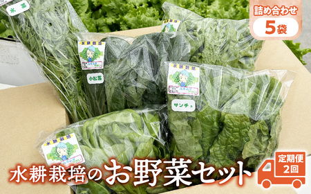 【定期便2回】【水耕栽培】野菜 詰め合わせ 合計 5袋 ( レタス チンゲン菜 小松菜 山東菜 水菜 わさび菜 ） 3 ～ 5 種類