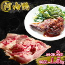 大阪・松原「ツムラ本店」河内鴨コンフィ(2個)、もも肉500gセット【鴨 かも カモ 鴨肉 かも肉 カモ肉 肉 鴨もも しゃぶしゃぶ やすき焼き 鴨南蛮 鴨南 かも南蛮 冷凍 朝引き 新鮮 自宅で お鍋 鍋 美味しい おいしい 大阪府 松原市 】