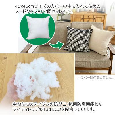 ふるさと納税 蒲郡市 ヌード 中材 背当クッション 帝人 防ダニ 防臭2個セット_【G0813】 |  | 01