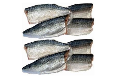 サバ 塩サバ 冷凍 切り身 / 塩さばフィレ14枚入（真空パック入）【uot403-1】