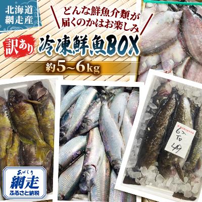 ふるさと納税 網走市 【訳あり】網走産冷凍鮮魚BOX〜未利用魚の有効活用(漁業生産者応援企画)