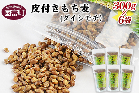 ＜皮付きもち麦(ダイシモチ）300g×6袋＞翌月末迄に順次出荷【 むぎ ムギ 穀物 食物繊維 プチプチ 食感 プチプチ食感 】【a0241_mw】