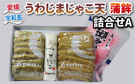 練物 じゃこ天 天ぷら 蒲鉾 詰め合わせ A 中村かまぼこ店 練物練物練物練物練物蒲鉾蒲鉾蒲鉾蒲鉾蒲鉾 C012-013001