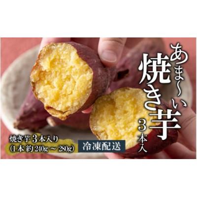ふるさと納税 勝山市 冷やし焼き芋 3本入り