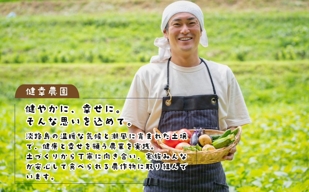 健幸農園の完熟淡路島産玉ねぎ 5kg　　[玉ねぎ 玉ねぎ 玉ねぎ 玉ねぎ 玉ねぎ]