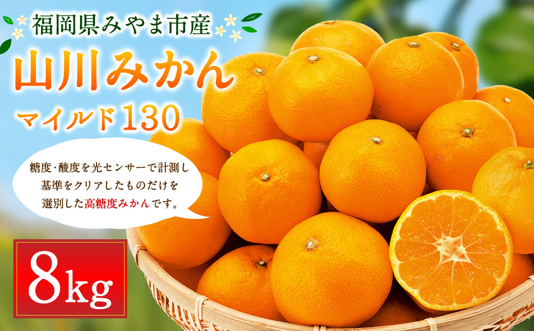 
B35 山川みかん 8kg マイルド130 数量限定 柑橘 みかん ミカン 蜜柑 【2024年11月上旬～2024年12月上旬発送予定】
