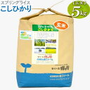 【ふるさと納税】【新米】スプリングライス こしひかり (玄米)5kg｜米 コメ こめ ごはん ご飯 ゴハン 白飯 スプリング ライス コシヒカリ 水へのこだわり 地下水 5kg 贈答 玄米 ビタミン ミネラル 食物繊維 ギフト 贈答 贈り物 プレゼント お祝 ご褒美 記念日 景品 _BI66