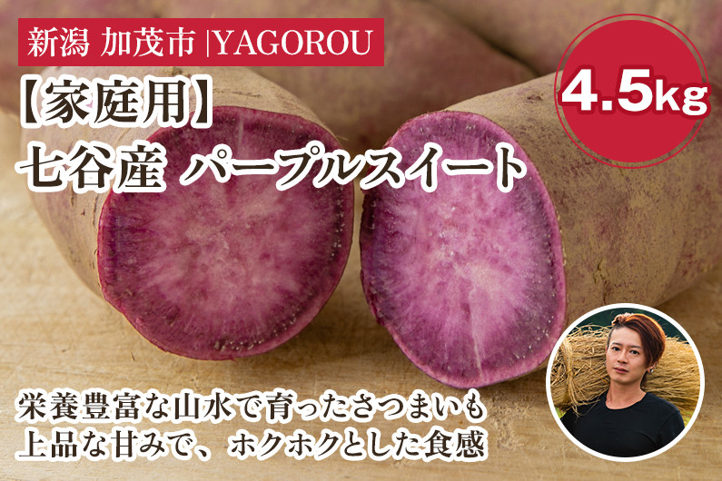
            【家庭用】パープルスイート 4.5kg（A品・B品混在） 新潟県加茂市七谷産 さつまいも《11月下旬〜順次発送》 サツマイモ お芋 焼き芋 スイートポテト 野菜 根菜 低温熟成 加茂市 YAGOROU ヤゴロウ
          