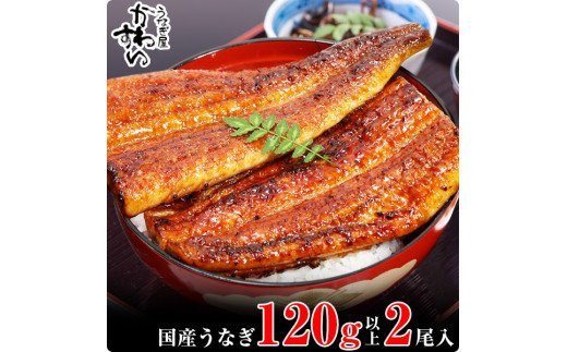 国産うなぎ蒲焼2本セット 120～149g