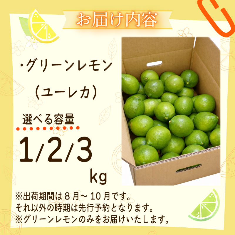 【農林水産大臣賞  先行予約 国産 レモン】選べる 内容量 グリーンレモン 3kg れもん 酸味 甘み 防腐剤不使用 大関農園  静岡県 牧之原市