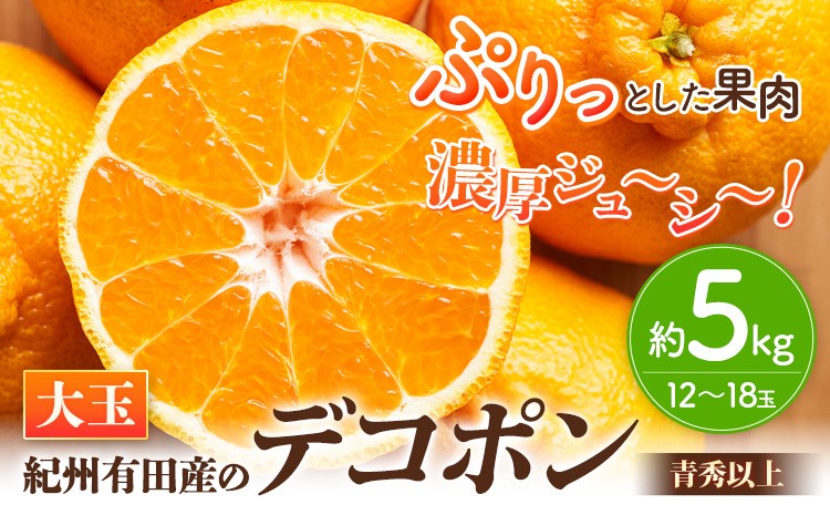 
                  【先行予約】【お味濃厚】紀州有田産の大玉デコポン約5kg(12玉～18玉入り・青秀以上) 厳選館 《2027年1月中旬-3月下旬頃出荷》和歌山県 日高川町 デコポン でこぽん 柑橘 不知火 しらぬい 大玉 送料無料
                