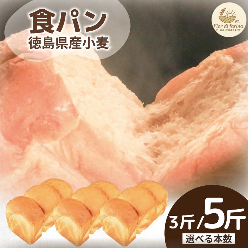 
            食パン 選べる容量 3斤 5斤 パン 天然酵母 国産 小麦 卵 牛乳 朝食 昼食 ランチ 間食 おやつ お取り寄せ グルメ 冷蔵 送料無料 徳島県 阿波市 フィオーレデファリーナ
          