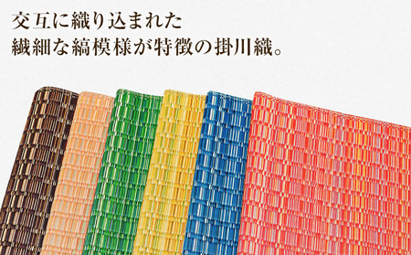 純国産天然いぐさ　「掛川　虹」３畳（緑色）　BG012
