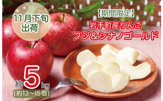 髙村果樹園のりんご約5kg 11月下旬から出荷《先行予約》【令和６年産】りんご フジ シナノゴールド フルーツ 果物 くだもの 岩手産 季節限定 期間限定