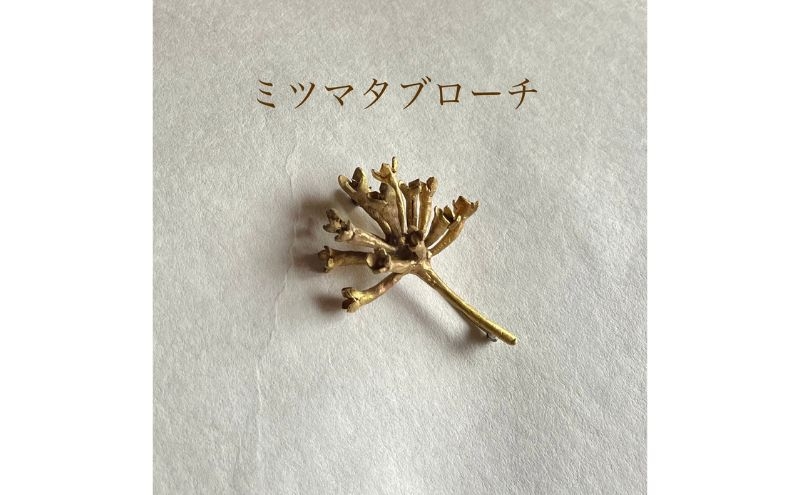 
                  [№5308-0566]ブローチ ミツマタブローチ（brass）/　YUKIKOMATSUI ミツマタ 植物 真鍮 アンティーク ファッション 手作業 美濃市 岐阜県
                