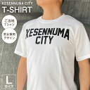 【ふるさと納税】Tシャツ 気仙沼 KESENNUMA CITY Tシャツ Lサイズ ホワイト 1枚 [愛隣オフセット印刷社 宮城県 気仙沼市 20563762] ご当地Tシャツ メンズ レディス 半袖 お土産 感想