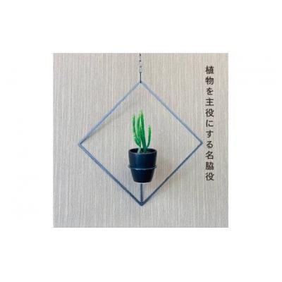 ふるさと納税 幸田町 GRAVIRoN Hang Plants シリーズ Diamond 　黒皮鉄(プランツハンガー) |  | 01