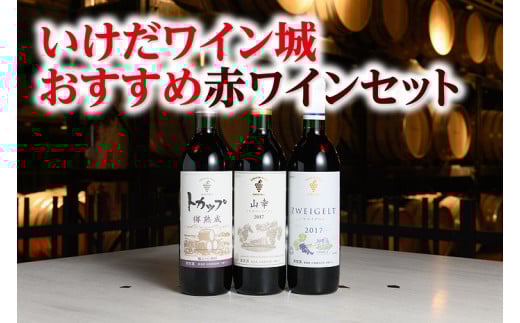 十勝ワイン いけだワイン城おすすめ赤ワインセット3本 山幸 ツバイゲルト 樽熟成 赤ワイン 北海道ワイン 北海道池田町