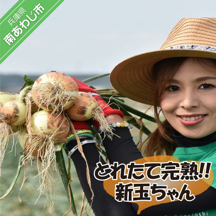 【ふるさと納税】【量が選べる！新玉予約！】 淡路島玉ねぎ とれたて完熟!! 新玉ちゃん☆ひょうご安心ブランド取得☆　◆配送5月上旬～6月上旬