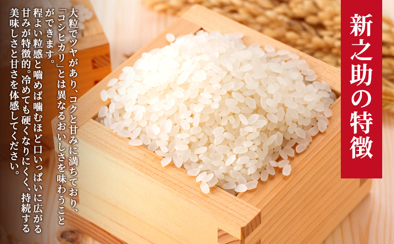 先行予約 令和8年産 新潟県上越市産 特別栽培米 新之助  5kg（5kg×1袋） ご飯 おにぎり