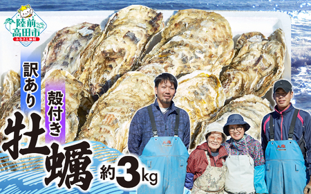 【訳あり/数量限定】 殻付き生牡蠣 約3kg 生食 冷蔵 三陸産 牡蠣 