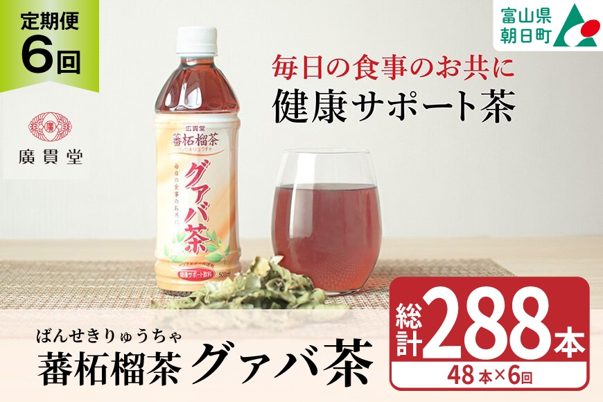 
                  お茶 定期便 グァバ茶 500ml 48本(2ケース) 6回 計288本 [広貫堂 富山県 朝日町 34310588] グアバ ノンカフェイン カロリーゼロ 健康茶 ケース 箱 リピート 黒部名水 48本 500ml
                